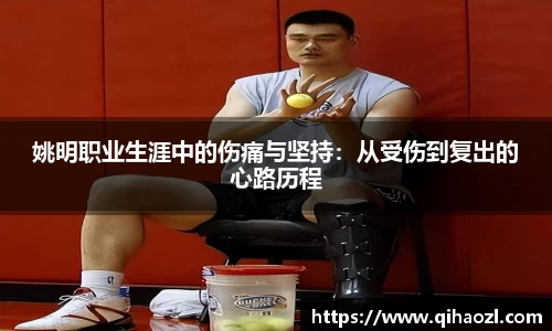 姚明职业生涯中的伤痛与坚持：从受伤到复出的心路历程