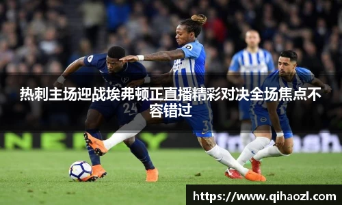 热刺主场迎战埃弗顿正直播精彩对决全场焦点不容错过